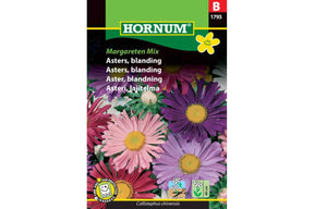 Astersplante med lyse, margerittlignende blomster som skaper enkel hageprakt.
