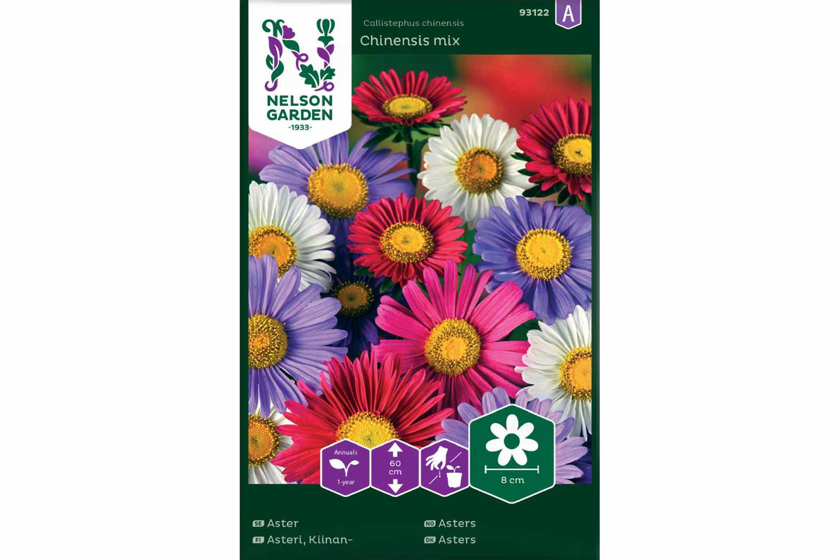 Asters Chinensis i blandede farger med frodige, dekorative blomster.