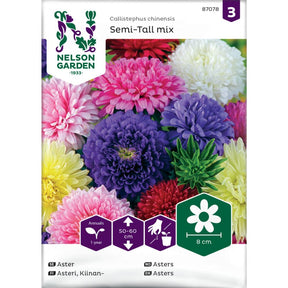 Dobbeltblomstrende asters i blandede farger