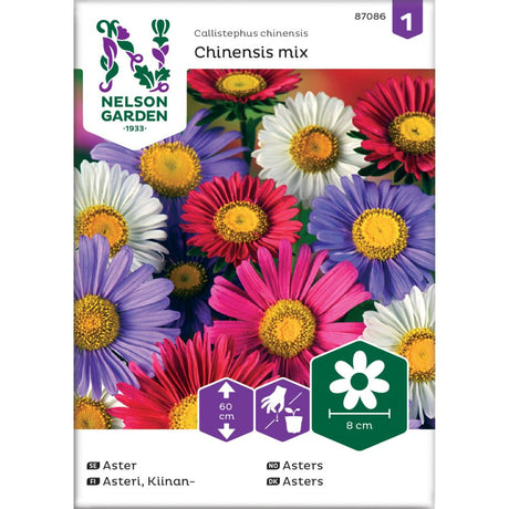 Enkeltblomstrende asters i blandede farger