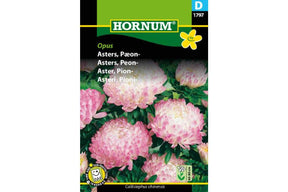 Astersplante med store, peonlignende blomster i fyldige og dekorative farger.