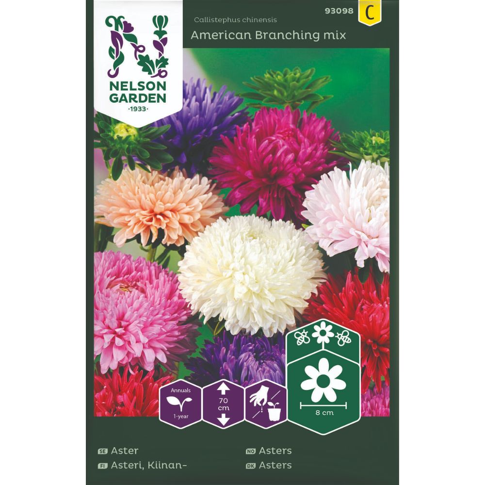 Asters American Branching Mix i blomst