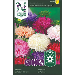 Asters American Branching Mix i blomst