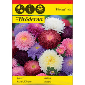 Asters Princess med fylte blomster i blandede farger