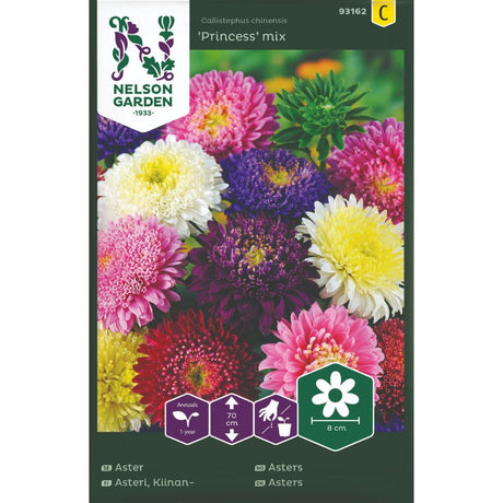 Asters Princess mix med store fylte blomster i flere farger