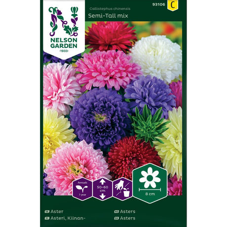 Asters Semi-Tall Mix i blomst