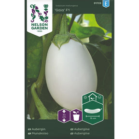 Hvit aubergine Gaia F1 på plante