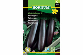 Aubergineplante med mørkfiolette frukter og vakre, lilla blomster.