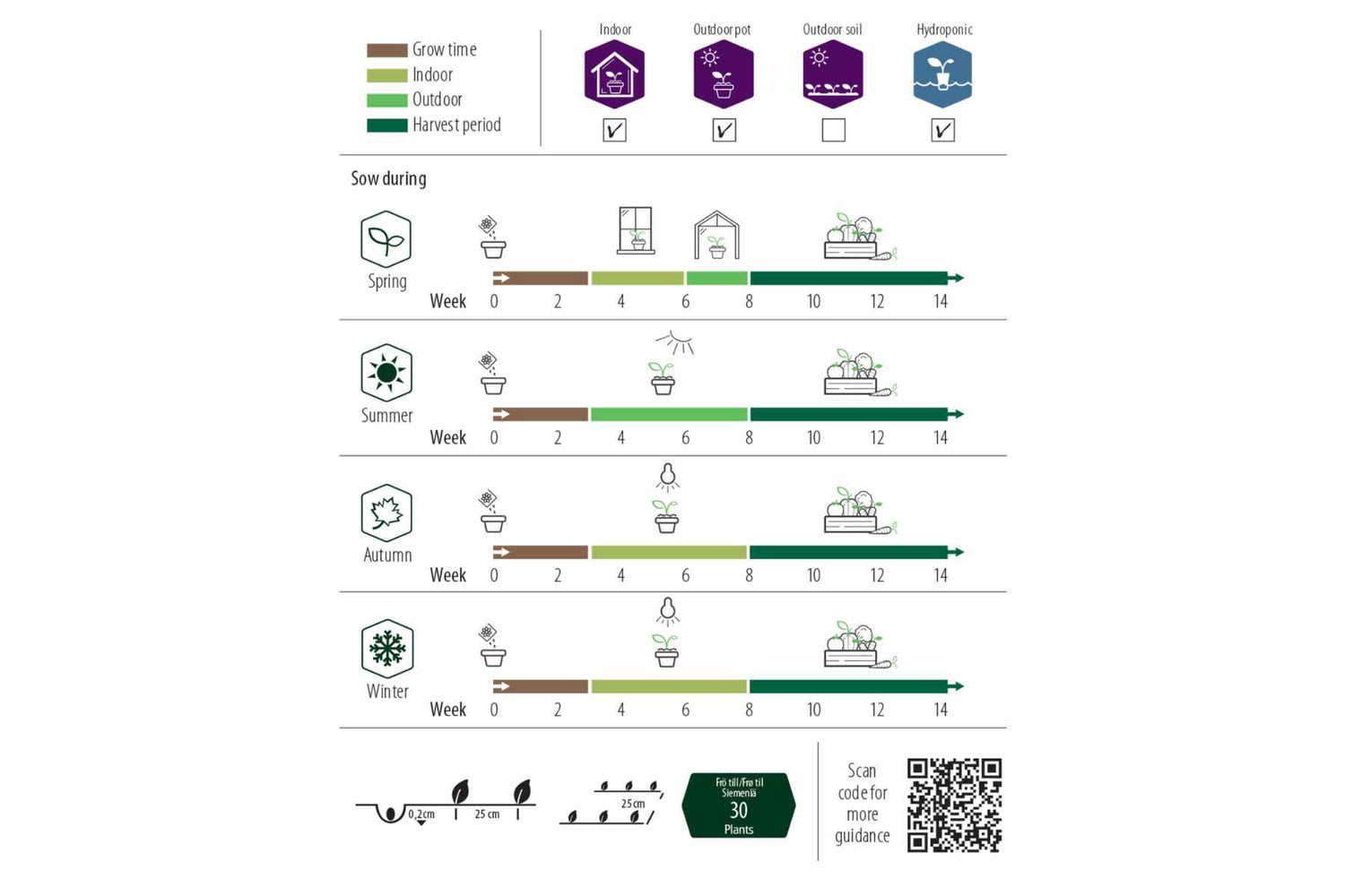 Basilikum, glattbladet, Loki, Organic