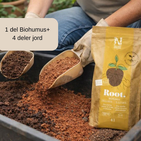 Biohumus brukt ved omplanting og utplanting av planter