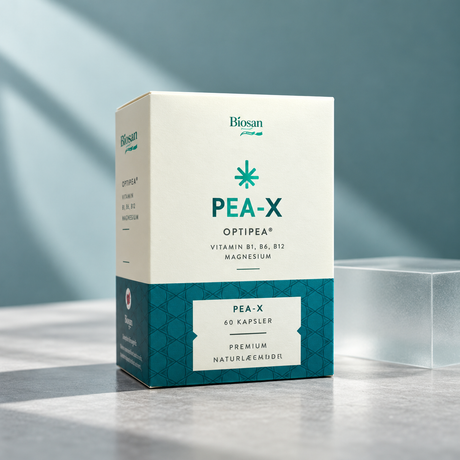 Biosan PEA-X 60 kapsler på en lys grå overflate med frostet glass og blågrønn bakgrunn i naturlig sidelys.