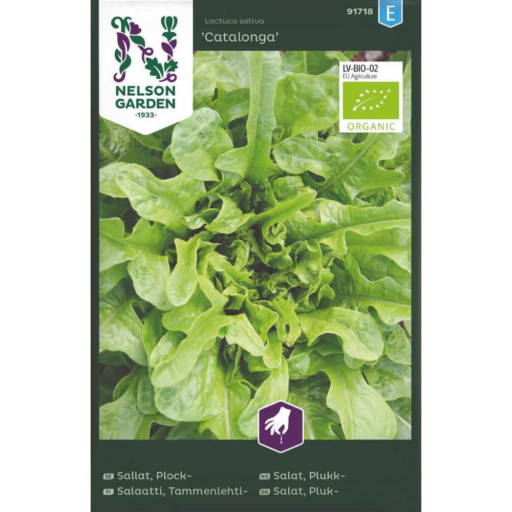 Bladsalat ‘Catalonga’ – økologisk plukksalat med krusete blader