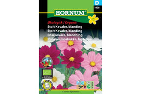 Økologisk blanding av cosmos som gir fargerike, elegante sommerblomster