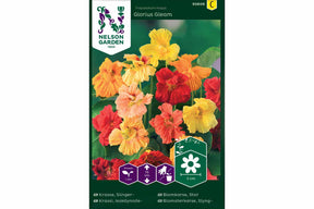 Store, glødende blomkarser i varme toner som sprer seg frodig