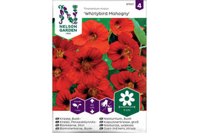 Store mahognyfargede blomkarser med fyldige kronblad i frodig vekst.