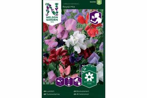 Fargerike blomstererter som klatrer tett med delikate, duftende blomster.
