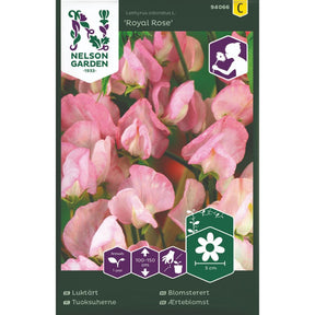 Blomsterert Royal Rose med rosa blomster på espalier