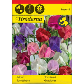 Lav blomsterert Knee-Hi i blandede farger i blomsterbed