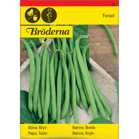 Slanke mørkegrønne brekkbønner Ferrari klare til høsting