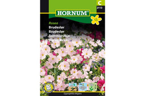 Rosa brudeslør med små, lette blomster i luftig blomstring