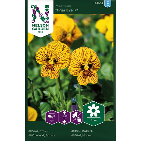 Bukettfiol ‘Tiger Eye’ med unikt mønstrede blomster