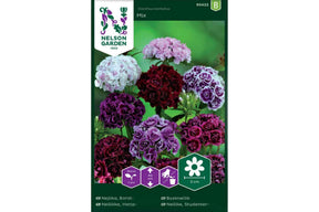 Fargerik busknellikmiks med tette blomster i klassiske nyanser.