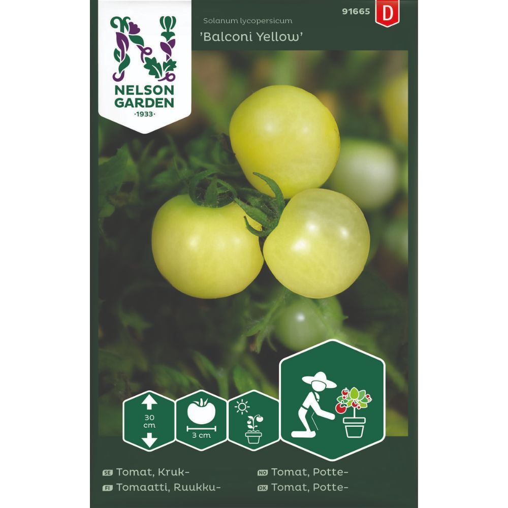 Cherrytomat Balconi Yellow med lysegule tomater i potte på balkong