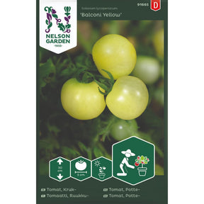 Cherrytomat Balconi Yellow med lysegule tomater i potte på balkong