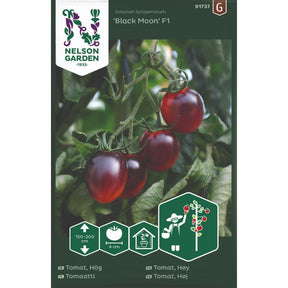 Cherrytomat Black Moon F1 med mørke tomater på planten i drivhus