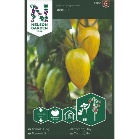 Cherrytomat Bliss F1 med grønnstripede og gule frukter på planten