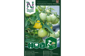 Kremgule, plommeformede cherrytomater som modner tett på kompakt plante.