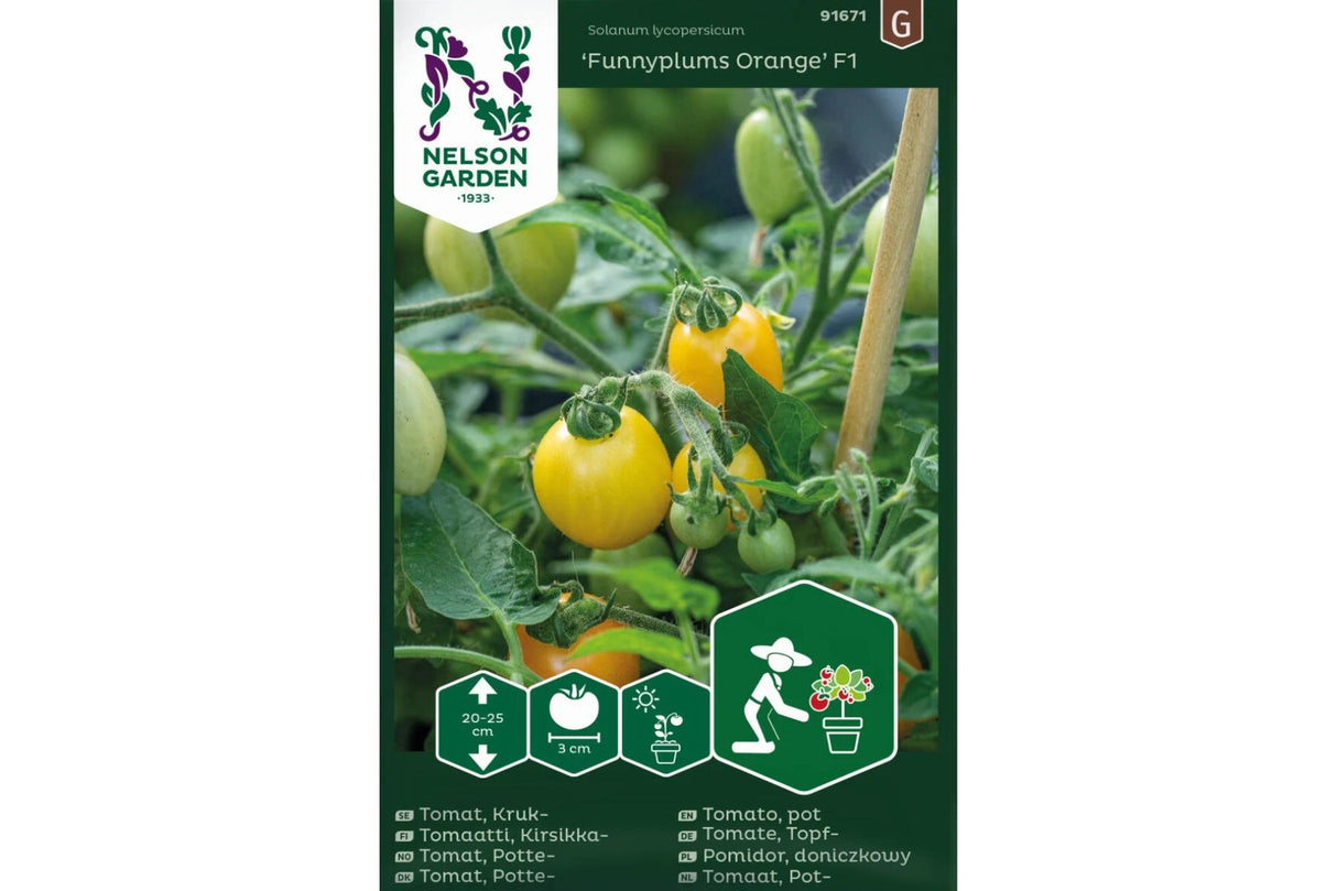 Cherrytomat 'Funnyplums Orange' F1 – Perfekt for Balkong og Terrasse