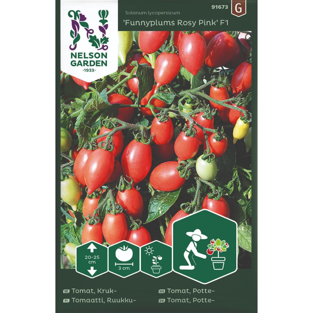 Plommetomat Funnyplums Rosy Pink på plante