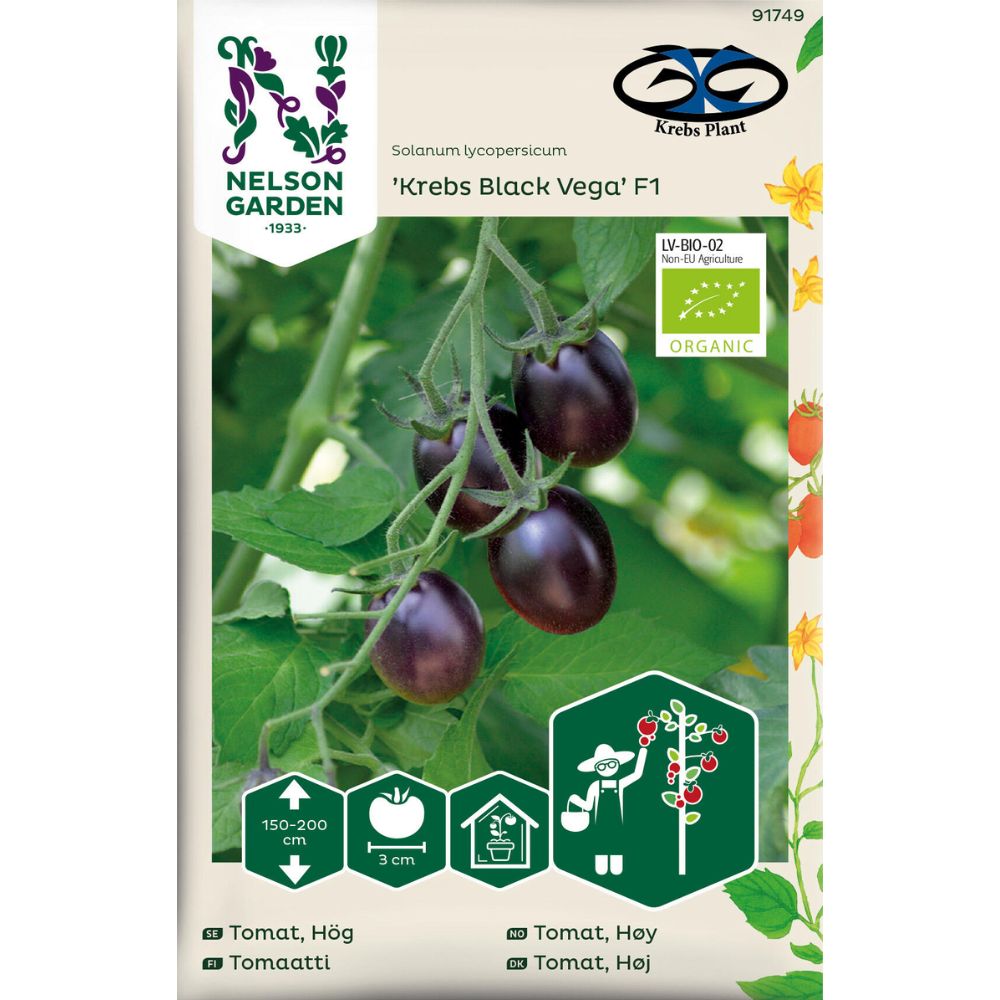 Cherrytomat ‘Krebs Black Vega’ F1 – fast svart plommetomat