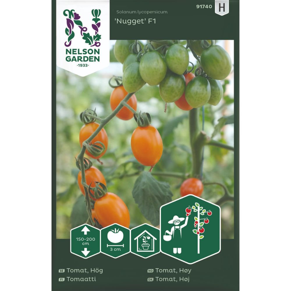 Cherrytomat Nugget F1 med avlange gyllengule tomater på planten