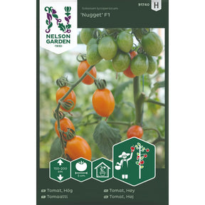 Cherrytomat Nugget F1 med avlange gyllengule tomater på planten