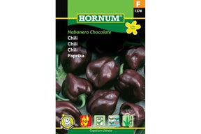 Mørkebrune Habanero Choco-chilier med rynkete, kraftige frukter.