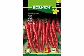 Slanke røde Cayenne-chilier som henger i lange, sterke frukter.