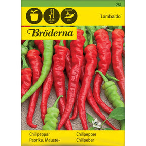 Lombardo chilipepper med lange grønne frukter på planten