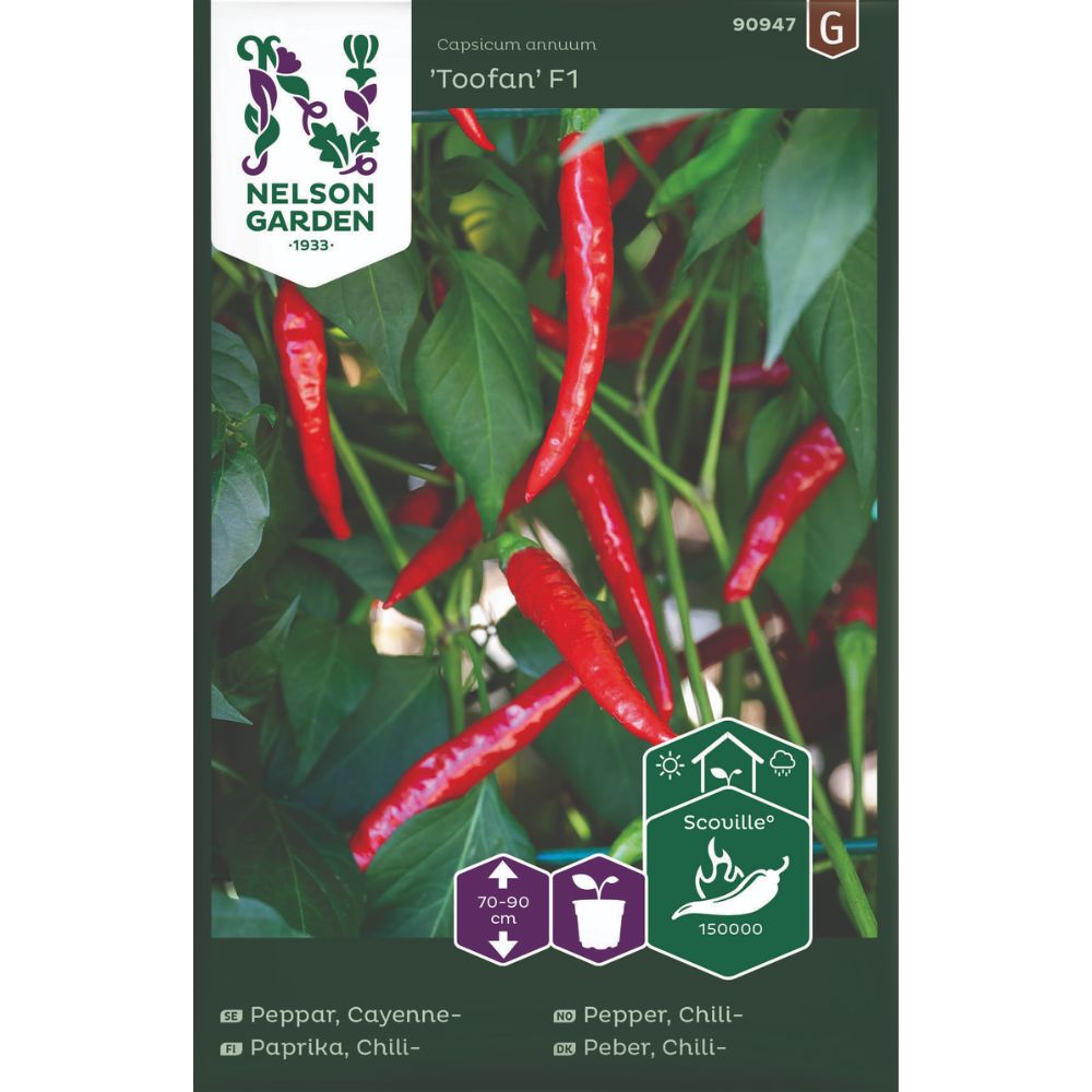 Chilipepper Toofan F1 på plante