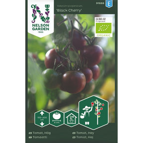 Modne ‘Black Cherry’-tomater brukt i fargerik tomatsalat.