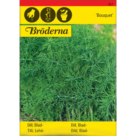 Dill Bouquet plante med grønne aromatiske blader i kjøkkenhage