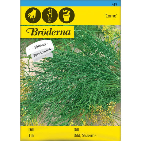 Dill Como med store blomsterskjermer dyrket i kjøkkenhage