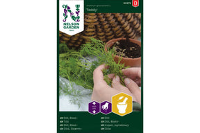 Kompakt dillplante med fine, aromatiske blader til fersk bruk.