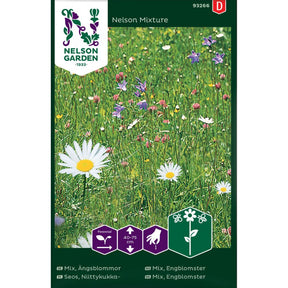 Engblomster Nelson Mixture i blomst