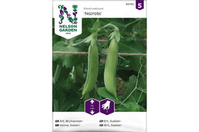Brytsukkerert med flate grønne belger som vokser på planten