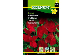 Duftende erteblomst med klare røde blomster på klatrende stilker