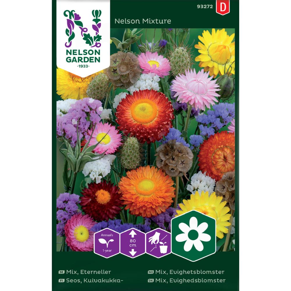 Evighetsblomster Nelson Mixture i blomst