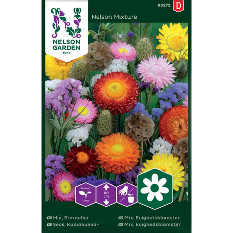 Evighetsblomster Nelson Mixture i blomst