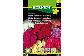 Sommerfloks i blandede farger som blomstrer rikt i bed